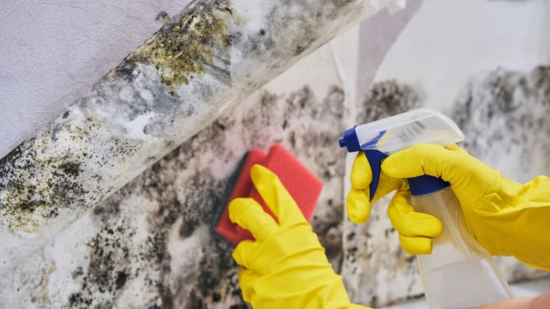 Preventing Mold